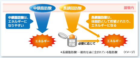 �C���[�W�摜