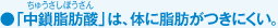 �u�������b�_�v�́A�̂Ɏ��b�����ɂ����B