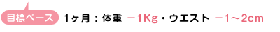 ڕWy[XF1̏d|1Kg@EGXg|1`2cm